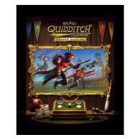 Harry Potter: Quidditch Champions - Deluxe Edition - PC DIGITAL