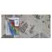Spoltex koberce Liberec Kusový koberec Cambridge bone 7879 - 200x290 cm
