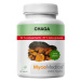 MycoMedica Chaga 50 % 90 kapslí