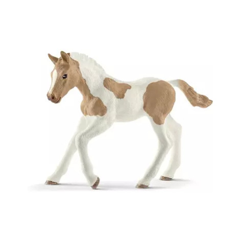 Schleich Zvířátko - Hříbě plemene Paint Horse