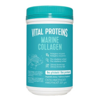 Vital Proteins Marine Collagen mořský kolagen v prášku 221g