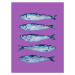 Ilustrace Sardines on Purple, Alice Straker, 30 × 40 cm