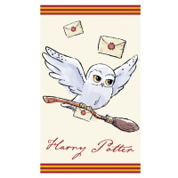 CARBOTEX - Dětský ručník 30/50cm HARRY POTTER, HP213003