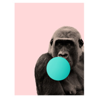 Ilustrace Bubblegum gorilla, Finlay & Noa, 30x40 cm