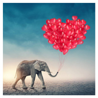 Fotografie Elephant with red balloons, egal, 40 × 40 cm