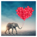 Fotografie Elephant with red balloons, egal, 40 × 40 cm