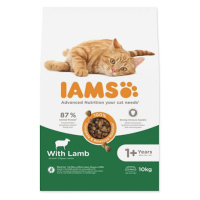 IAMS Cat Adult Lamb 10 kg