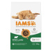 IAMS Cat Adult Lamb 10 kg