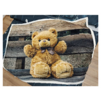 Kvalitní dětská deka s motivem medvídka 130 x 160 cm