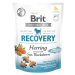 BRIT Care Dog Functional Snack Recovery Herring sleď s rakytníkem pro psy 150 g