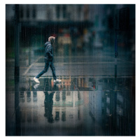 Fotografie Rain, David Chiodo, 40 × 40 cm