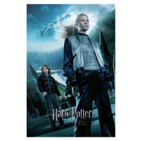 Umělecký tisk Harry Potter and the Goblet of Fire - Fleur, 26.7 × 40 cm