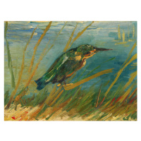 Obrazová reprodukce Kingfisher by the Waterside, Vincent van Gogh, 40 × 30 cm