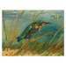 Obrazová reprodukce Kingfisher by the Waterside (Vintage Wildlife) - Vincent van Gogh, 40x30 cm
