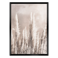 Dekoria Obrázek Grass, 30 x 40 cm