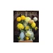 Life with Flowers, Inspiration and Lessons from the Garden
