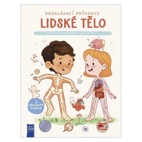 Lidské tělo - Užasněte nad fungováním lidského těla YoYo Books