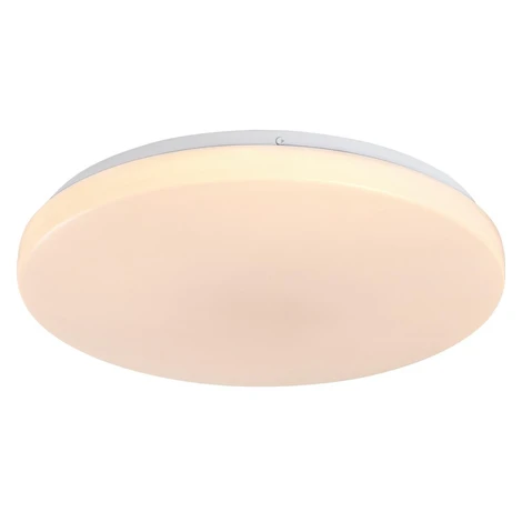 Rabalux 71443 - LED Stm stropní sv DANNY 2 LED/60W/230V 3000-6500K pr. 58 cm+DO 71443