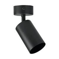 Svítidlo stropní bodové DPM SPT001-1