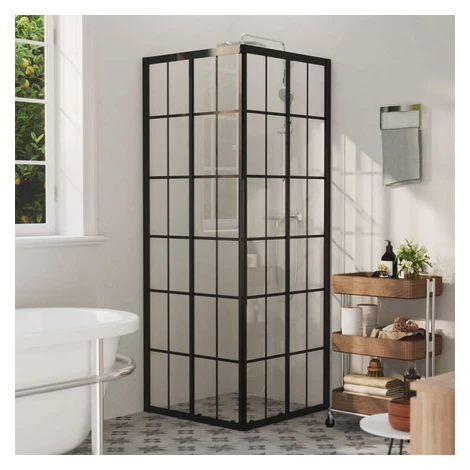 Sprchová zástěna BestBerg 150770 / 80 × 80 × 180 cm / černá/transparentní