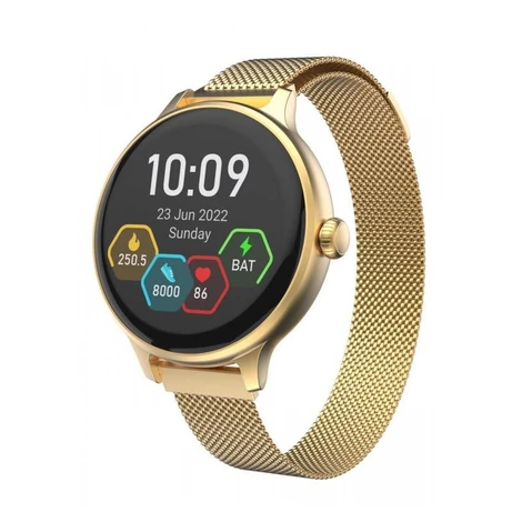 CARNEO Hero mini HR+ gold