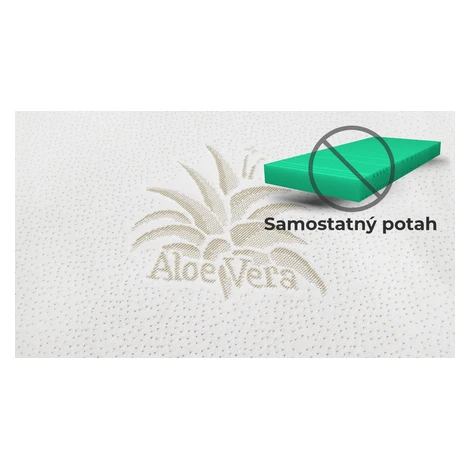 BEDTON Samostatný potah na matraci ALOE VERA nepodšitý (170g/m²) - bez matrace Šířka: 160 cm, Dé