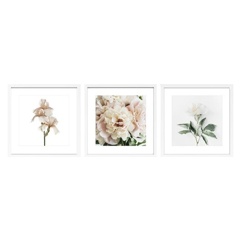 Tištěné obrazy v sadě 3 ks s rámem 30x30 cm Posy – Styler