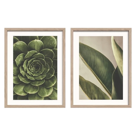 Tištěné obrazy v sadě 2 ks s rámem 30x40 cm Beauty Green – Styler