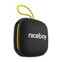 Niceboy RAZE Mini 4