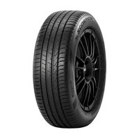 Pirelli Scorpion ( 255/40 R20 101V XL (+), s ochrannou ráfku (MFS) )
