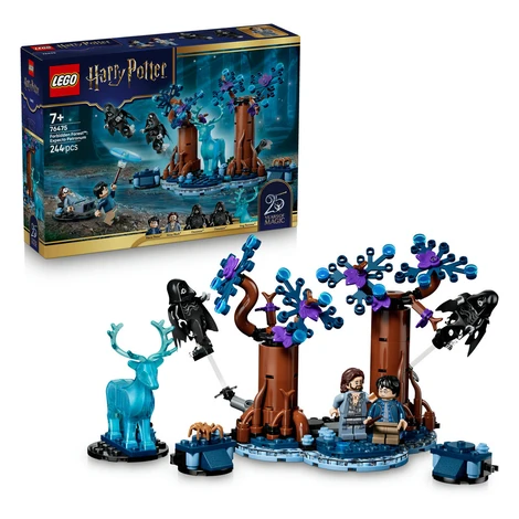 LEGO LEGO® Harry Potter™ 76475 Zapovězený les: Expecto Patronum