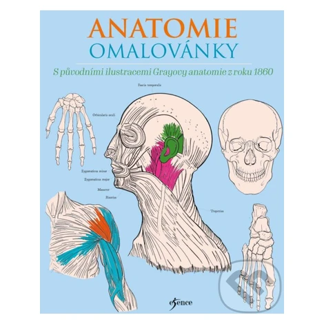 Anatomie omalovánky - Henry Carter, Henry Gray - kniha z kategorie Pre dospelých