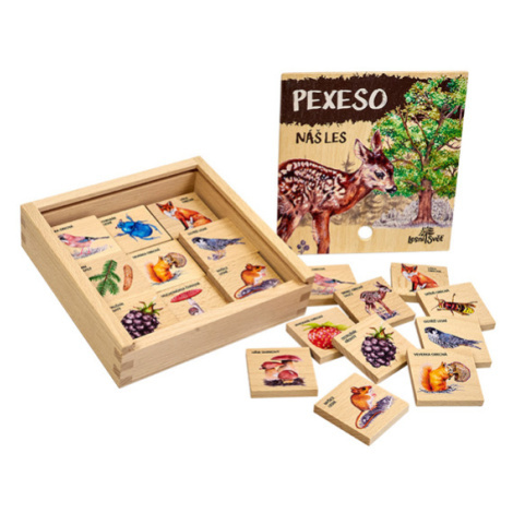 Dřevěná pexesa