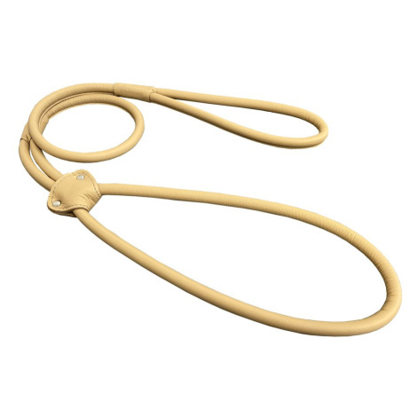 Předváděcí vodítka pro psy