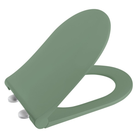 Matná záchodová prkénka