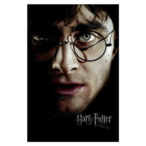 Harry Potter plakáty