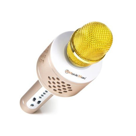Karaoke mikrofony
