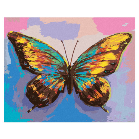 Malování podle čísel s motivem motýla