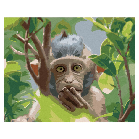 Malování podle čísel s motivem opice