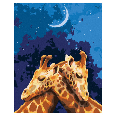 Malování podle čísel s motivem žirafy