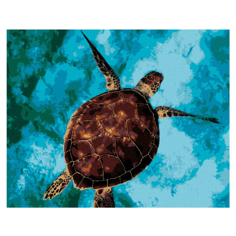 Malování podle čísel s motivem želvy