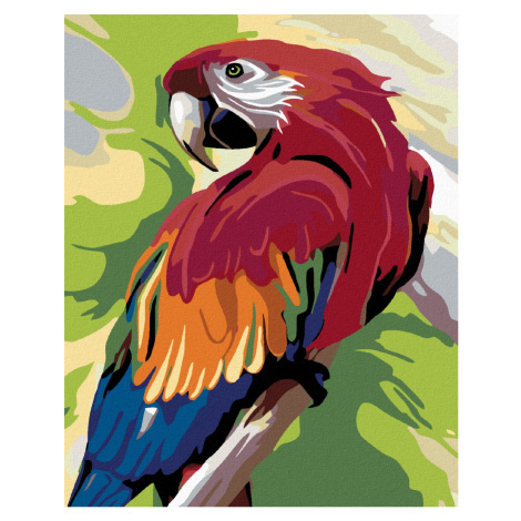 Malování podle čísel s motivem papouška