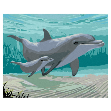 Malování podle čísel s motivem delfína